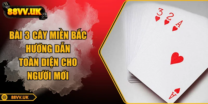 bai-3-cay-mien-bac