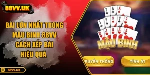 bai-lon-nhat-trong-mau-binh