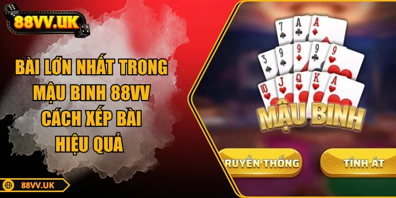 bai-lon-nhat-trong-mau-binh