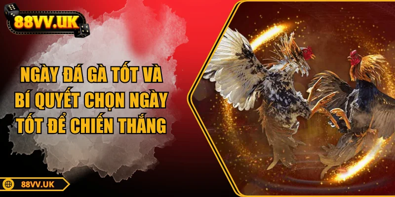 ngay-da-ga